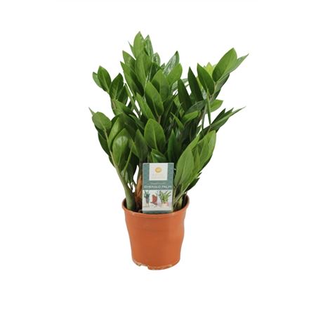 B012726_0000310787_H_1