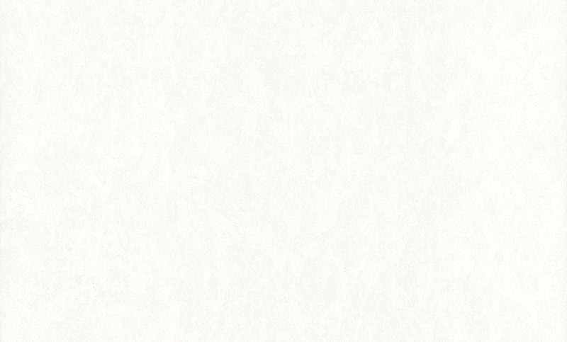 70495-11 Обои флизелиновые Портофино фон белый 1,06х10,05м