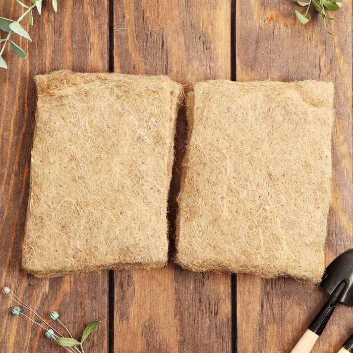 700 - 2026-02-25T105811.077