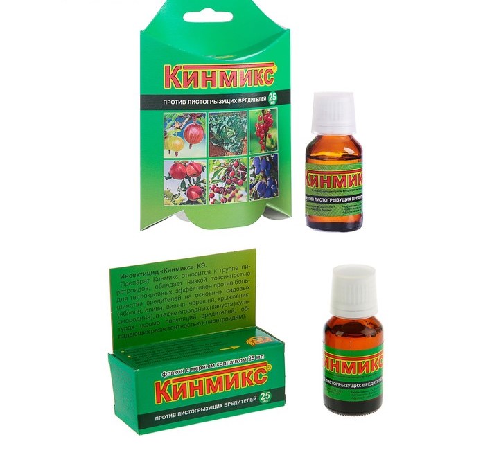 Изображение загружено