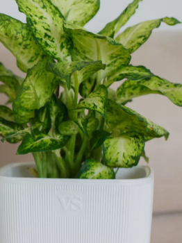 Горшок с дренажной системой Фабио VipSet 4,7 л белый