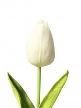 Цветок искусс.Белый Тюльпан из полиуретана 34х3,5х3,5см
