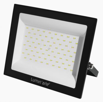 Прожектор светодиодный  100Вт 8000Лм IP65 5700К Luminarte LFL-100W/06 212х171х29