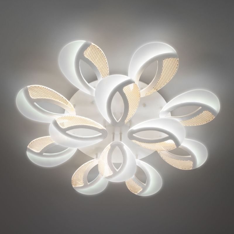 Изображение загружено