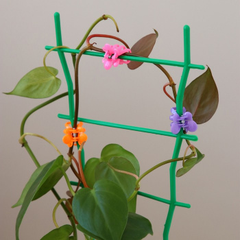 Клипса для растений,  набор 10 шт "Мини Бабочка", разноцвет   
