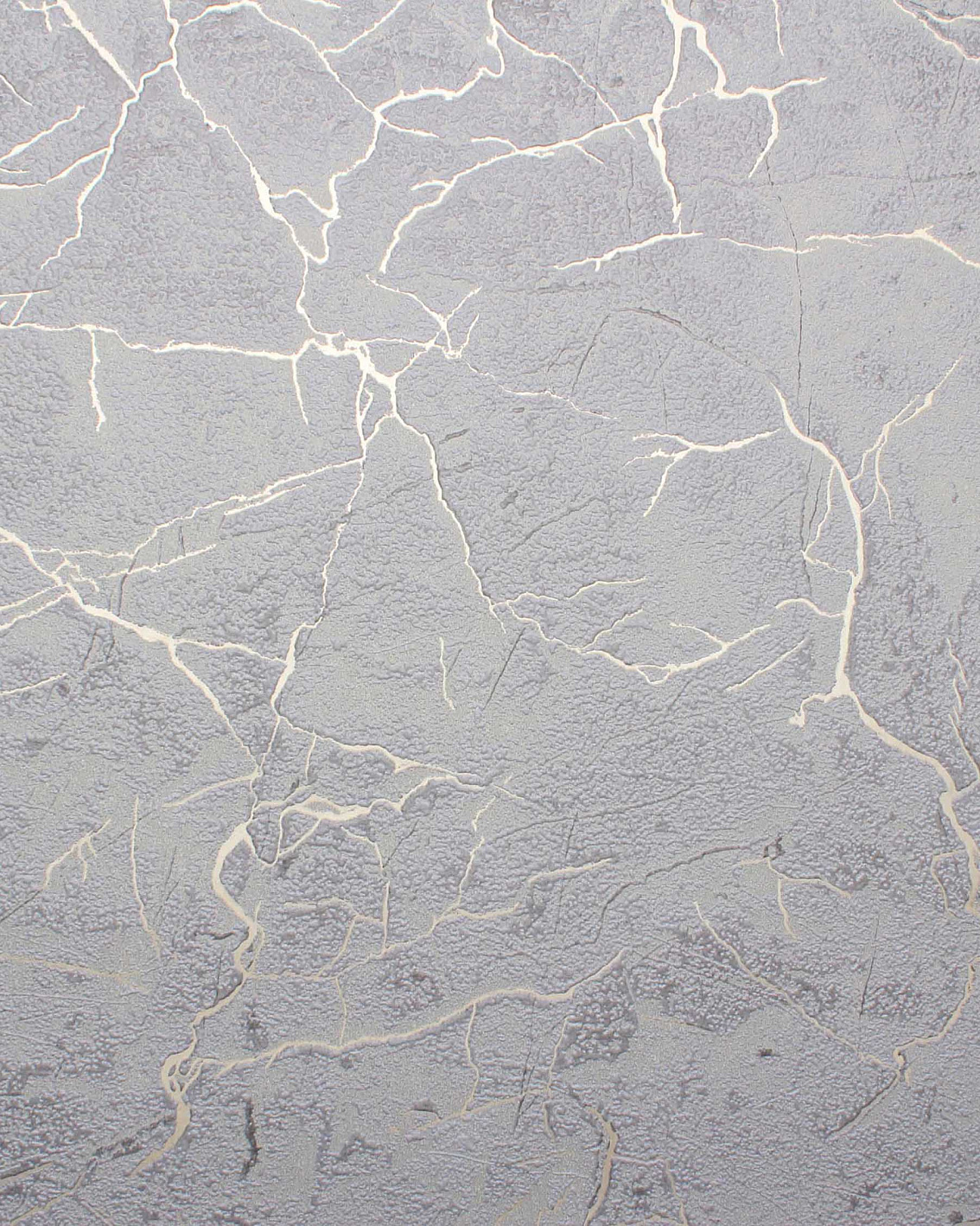 283798 Обои флизелиновые Ground, мотив темно-серый 1,06x10,05м