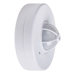 Изображение загружено