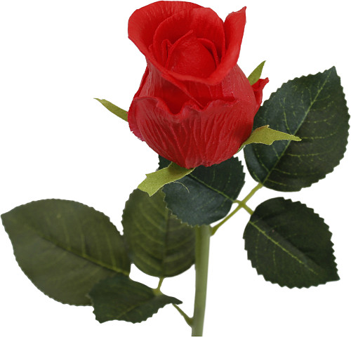 12da077f_aed0_11ee_8c6e_f02f74cb38bd_b409b270_32bc_11ef_8ee4_74563c0e8674