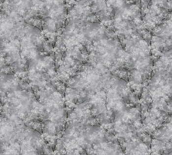 Обои флизелиновые "Sakura" мотив серый 1,06х10,05