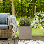 ffa82d8ed73da535a62927146a0f00da