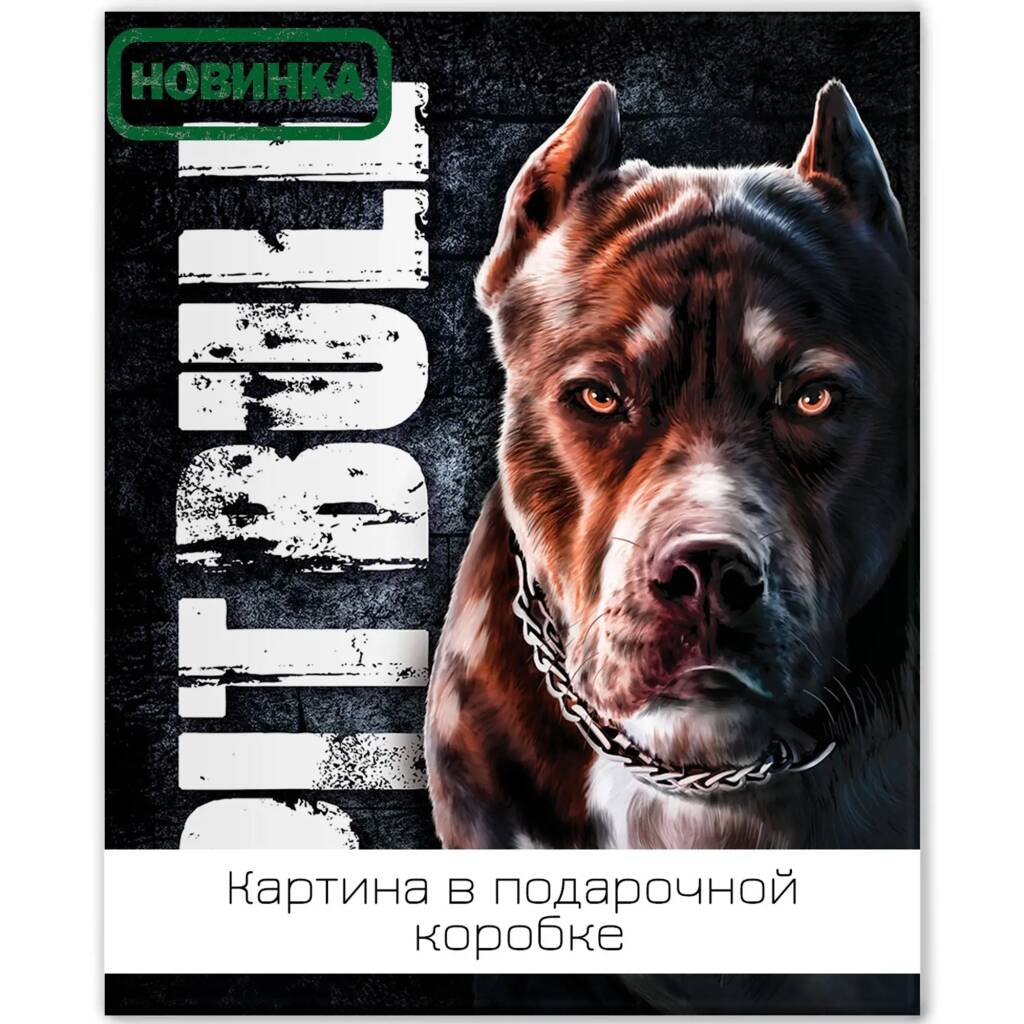 Lm45-13884 Картина Питбуль 40х50 см.