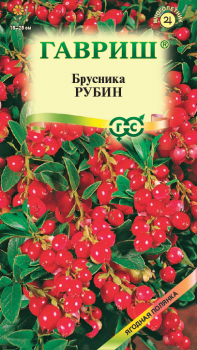 Брусника Рубин 20 шт.