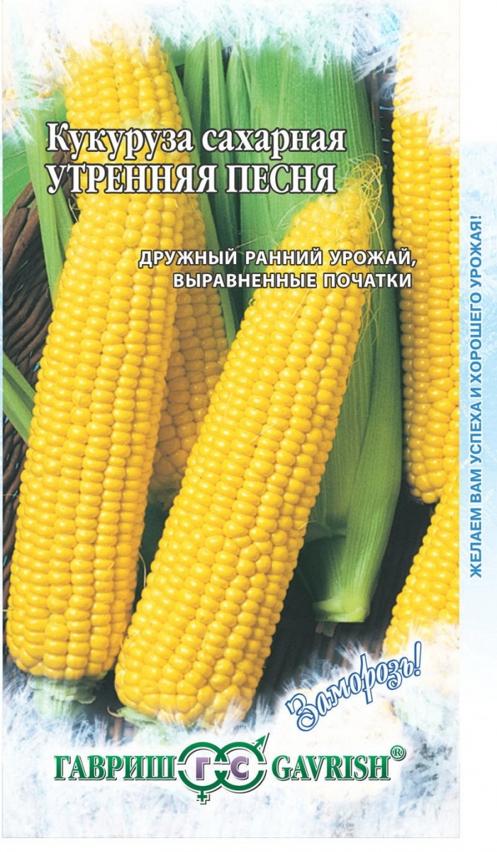 Изображение загружено