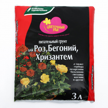 Изображение загружено
