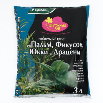 Изображение загружено