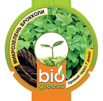 Свежая зелень комплект (лоток для проращивания) семена брокколи в подарок 