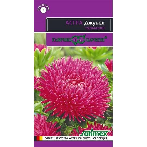 Изображение загружено