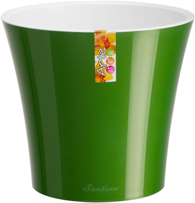 Изображение загружено