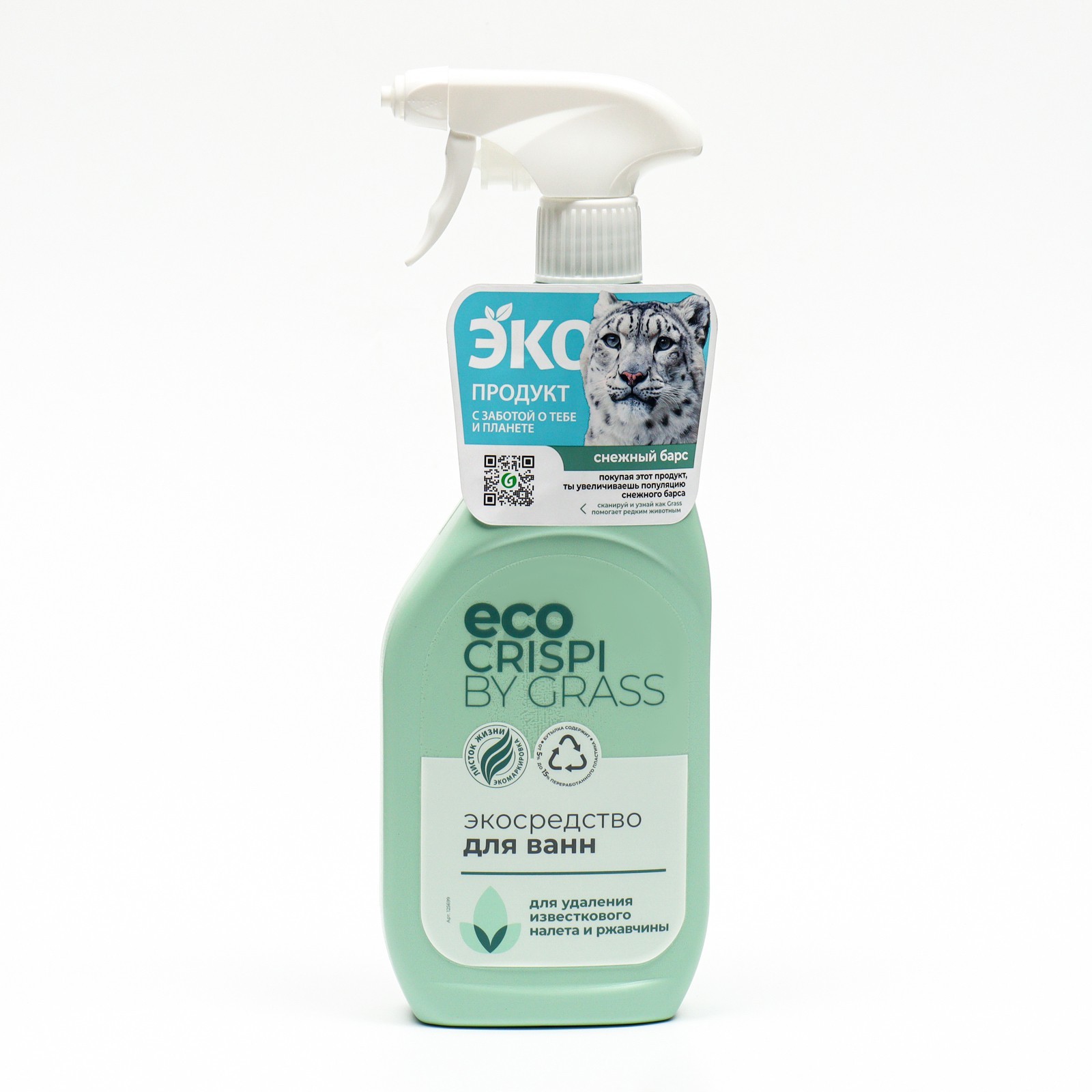 Изображение загружено