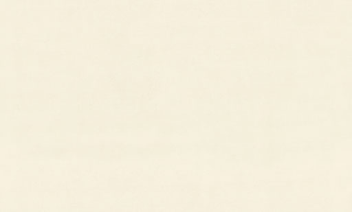 8091-08-раппорт