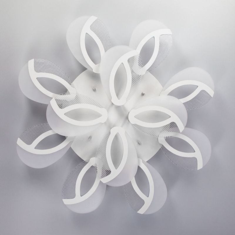 Изображение загружено