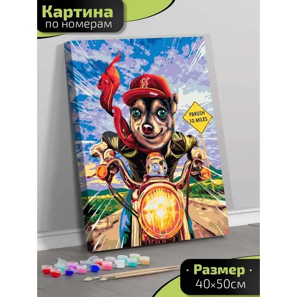 Lp14-067 Картина по номерам Мотоциклист 40х50 см.