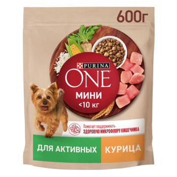 Корм сухой Purina ONE Мини для активных собак мелких пород с курицей и рисом 600 г