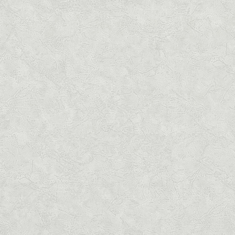 8055-11 Обои флизелиновые Oasis, фон серый 1,06x10,05м