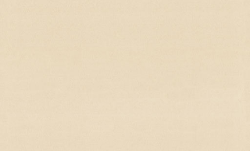 9299-02-раппорт