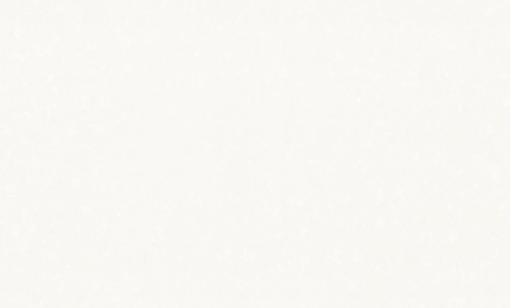 HC71996-21 Обои флизелиновые Pions фон св-бежевый 1,06х10,05м