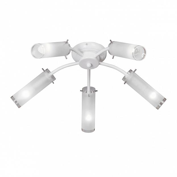 Изображение загружено