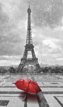 Фотообои 3D «Дождь в Париже» 100х270 см.