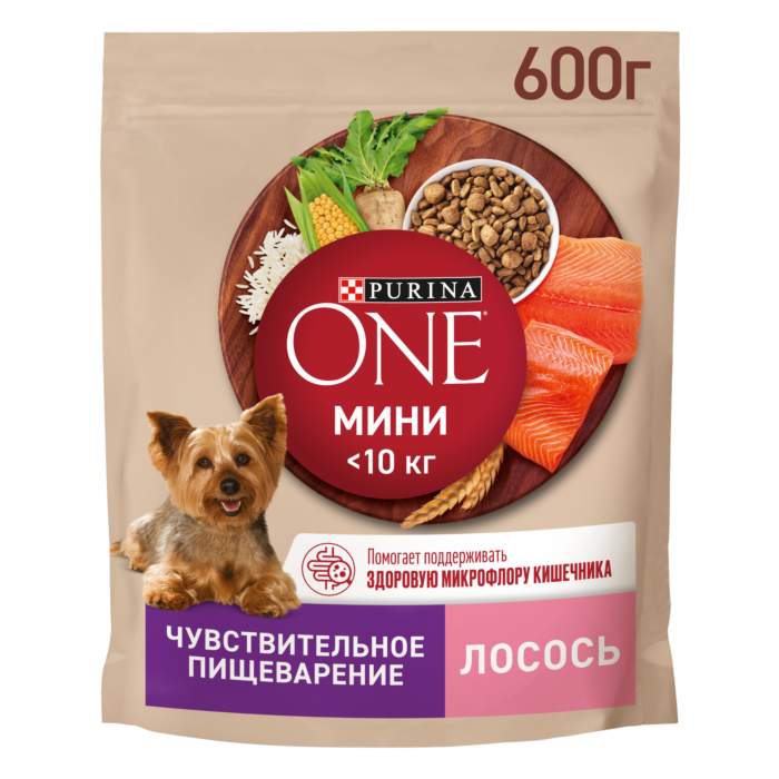 12324511 Корм сухой Purina ONE Мини для собак мелких пород с лососем и рисом 600г