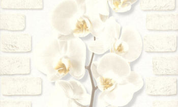 Обои бумажные Орхидея мотив белый 0,53*10,05  