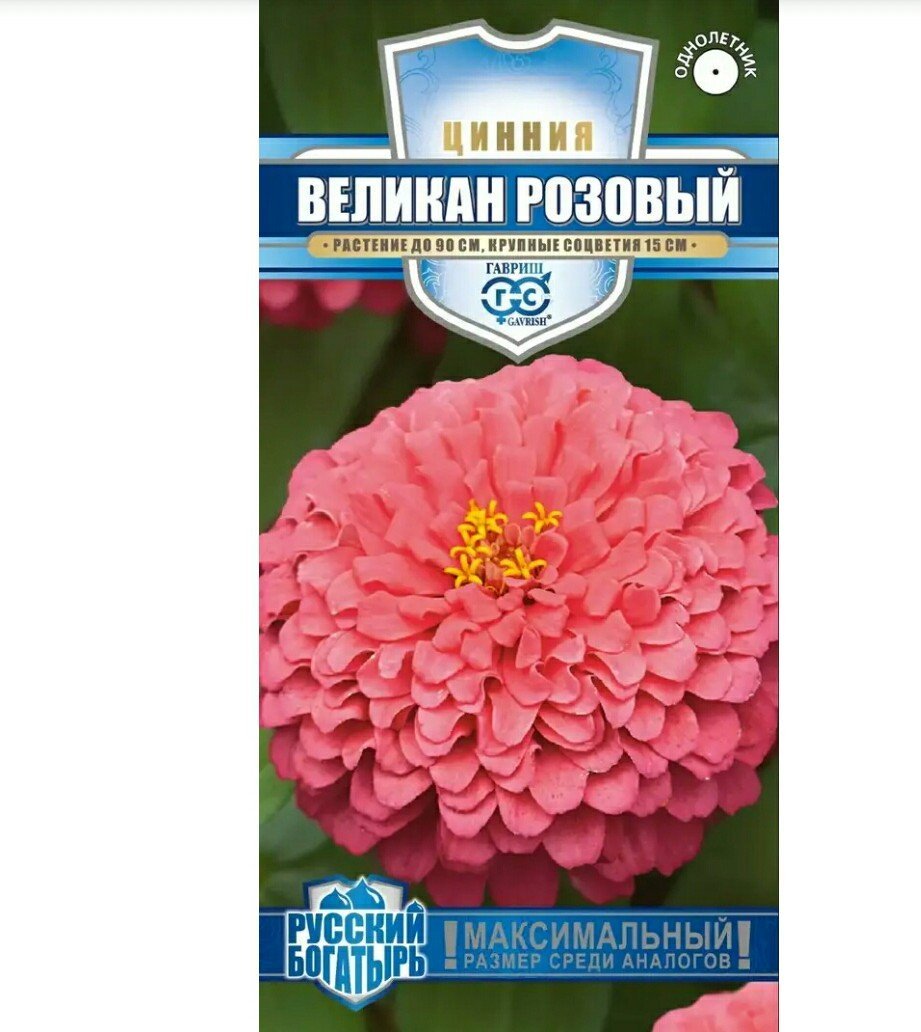 Изображение загружено