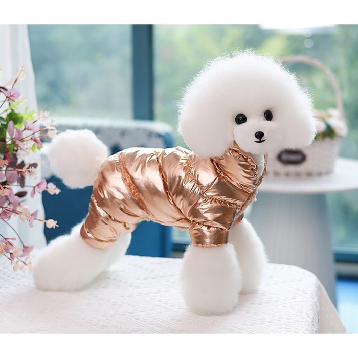 0434912151ff4c4454f0a00c869d273f