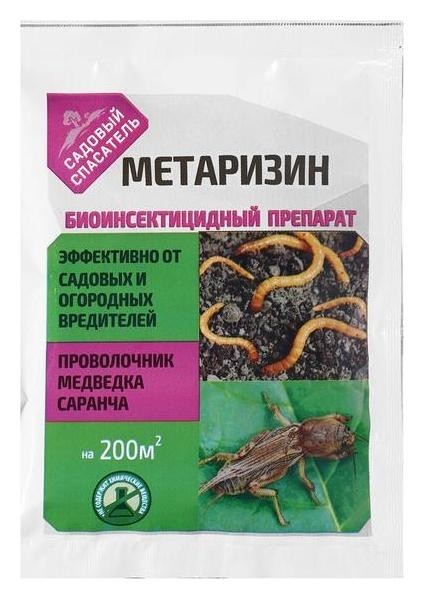 Изображение загружено