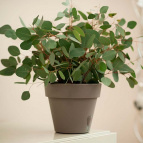 d20178434df5256e13086cc00aae3ace