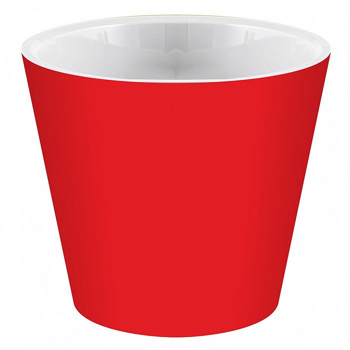 Изображение загружено