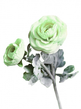 Букет искусственных цветов Ранункулюс зеленый из ткани  39,5х10х7см