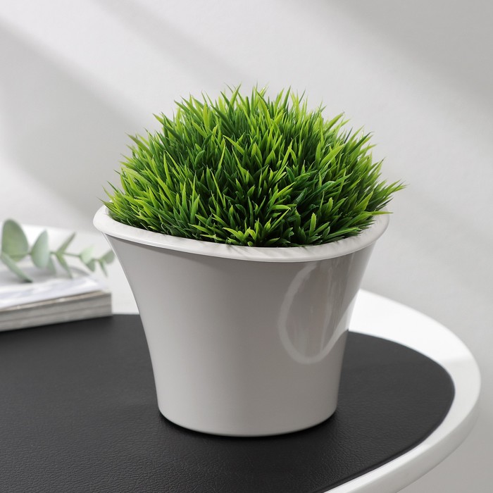 Изображение загружено