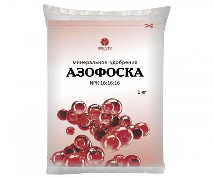 Изображение загружено