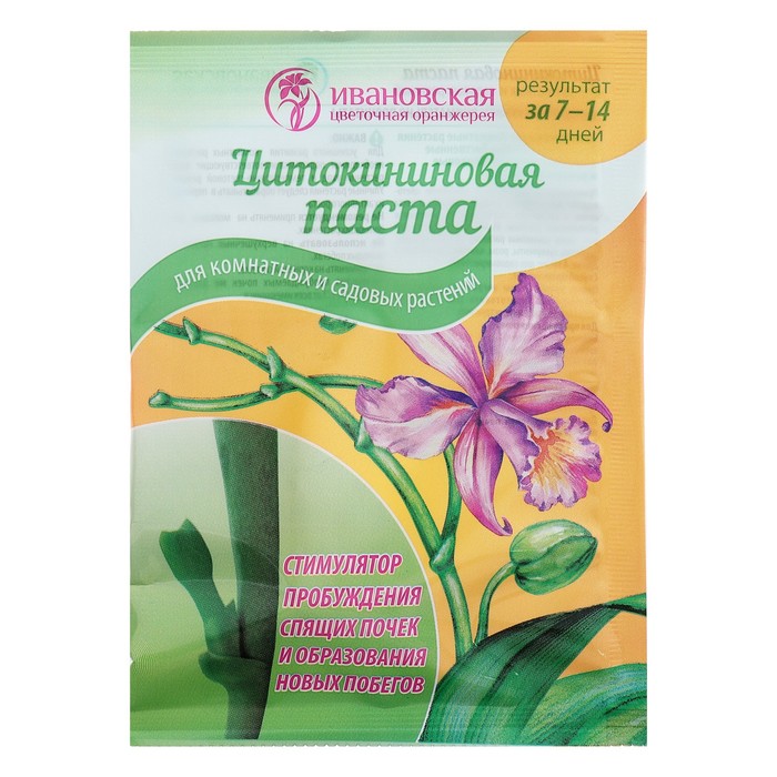 Изображение загружено