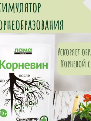 загрузка (10)