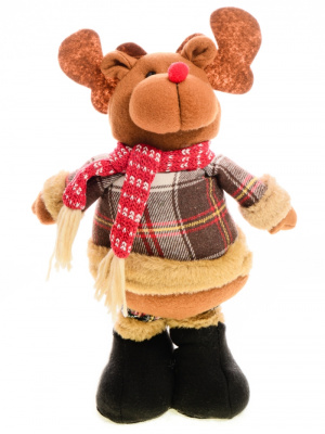 Изображение загружено