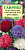Астра Американская красавица, однолетняя (смесь) густомахровая 0,3 г