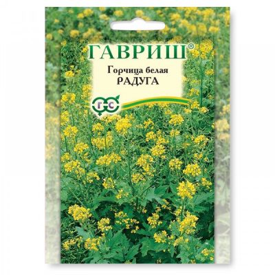 Изображение загружено