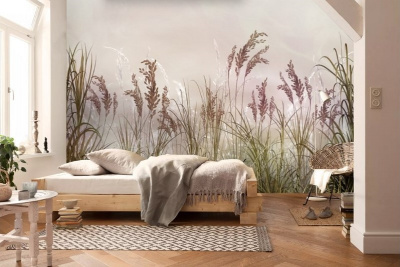 полевые растения2