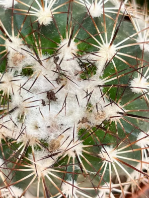 загрузка (12)