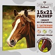 Мозаика алмазная «Лошадь» 15х21 см.